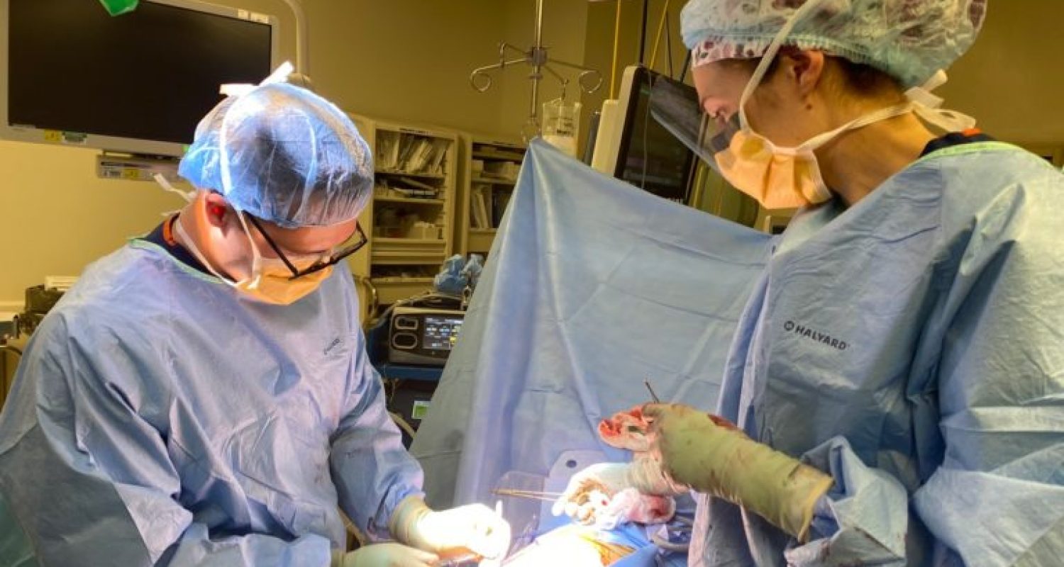 Unknown-768×576 (From left) Cameron A. Barruga ’22 and Stephanie Jensen, MD, of Loma Linda University's urology residency program closing skin during the nephrectomy described in Dr. Barruga’s story.