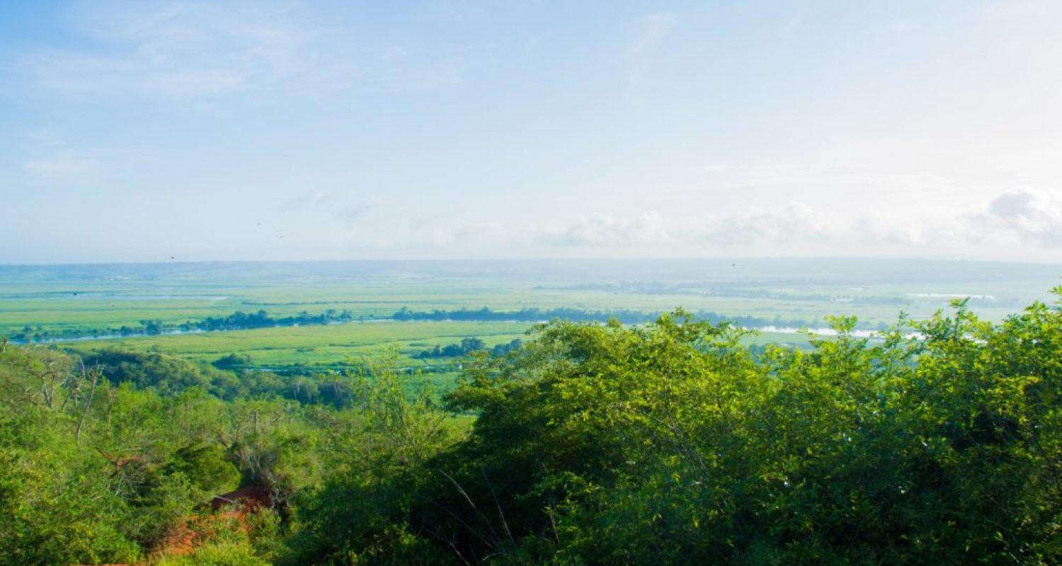 eden-constantino-WYvolPot5zk-unsplash-scaled eden-constantino-WYvolPot5zk-unsplash-scaled