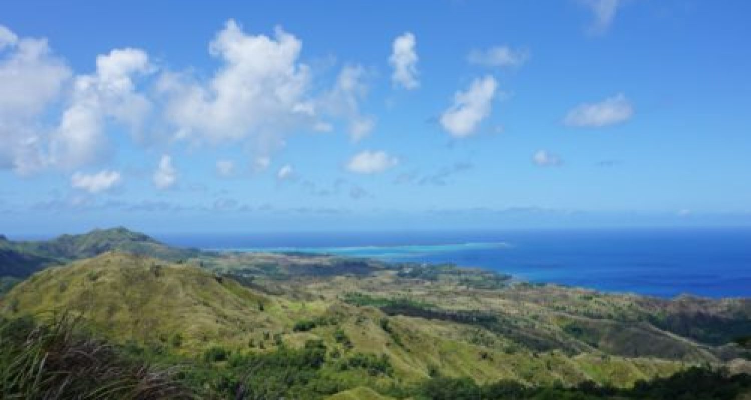 philip-davis-fYW1GAndamQ-unsplash-500x500