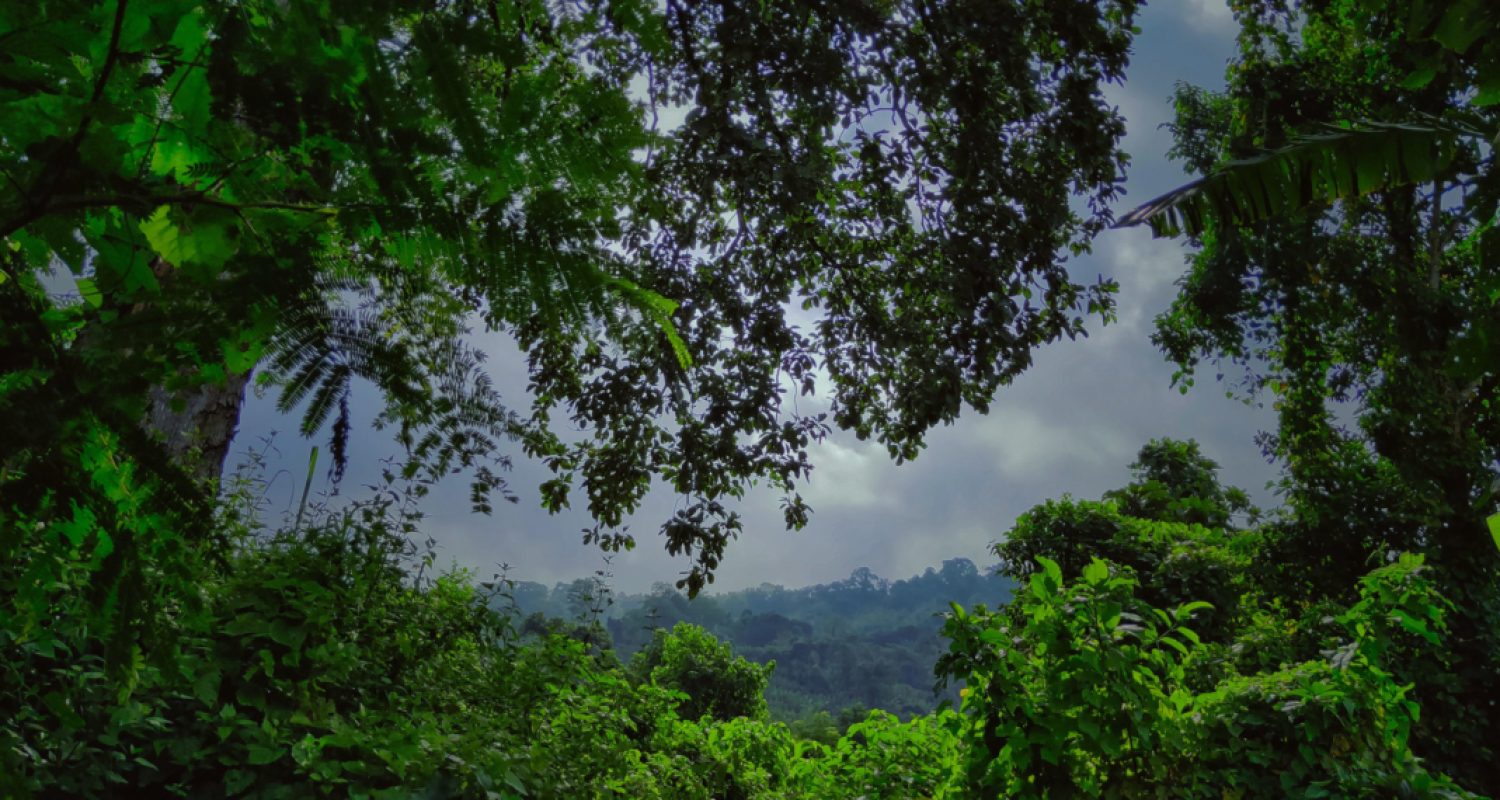 sourav-debnath-7geRQ5YhtEc-unsplash-1-scaled-1140x570-1