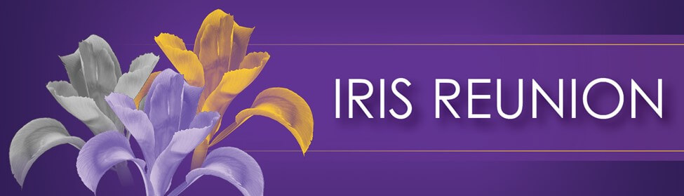 Iris Reunion Graphic
