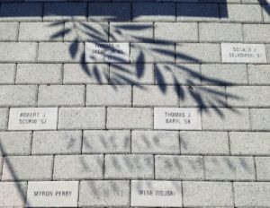 Bricks