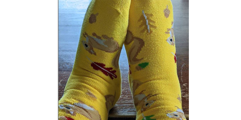 Yellow socks with leaves, acorns, and squirrels.