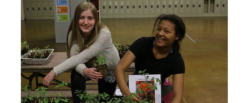 Students look over their tomato plants as part of the program created by Neighbors Nourishing Communities.
