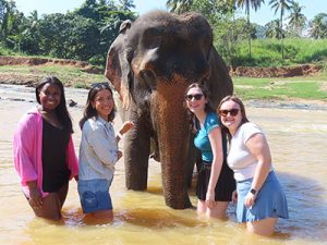 A group posing with an elephant