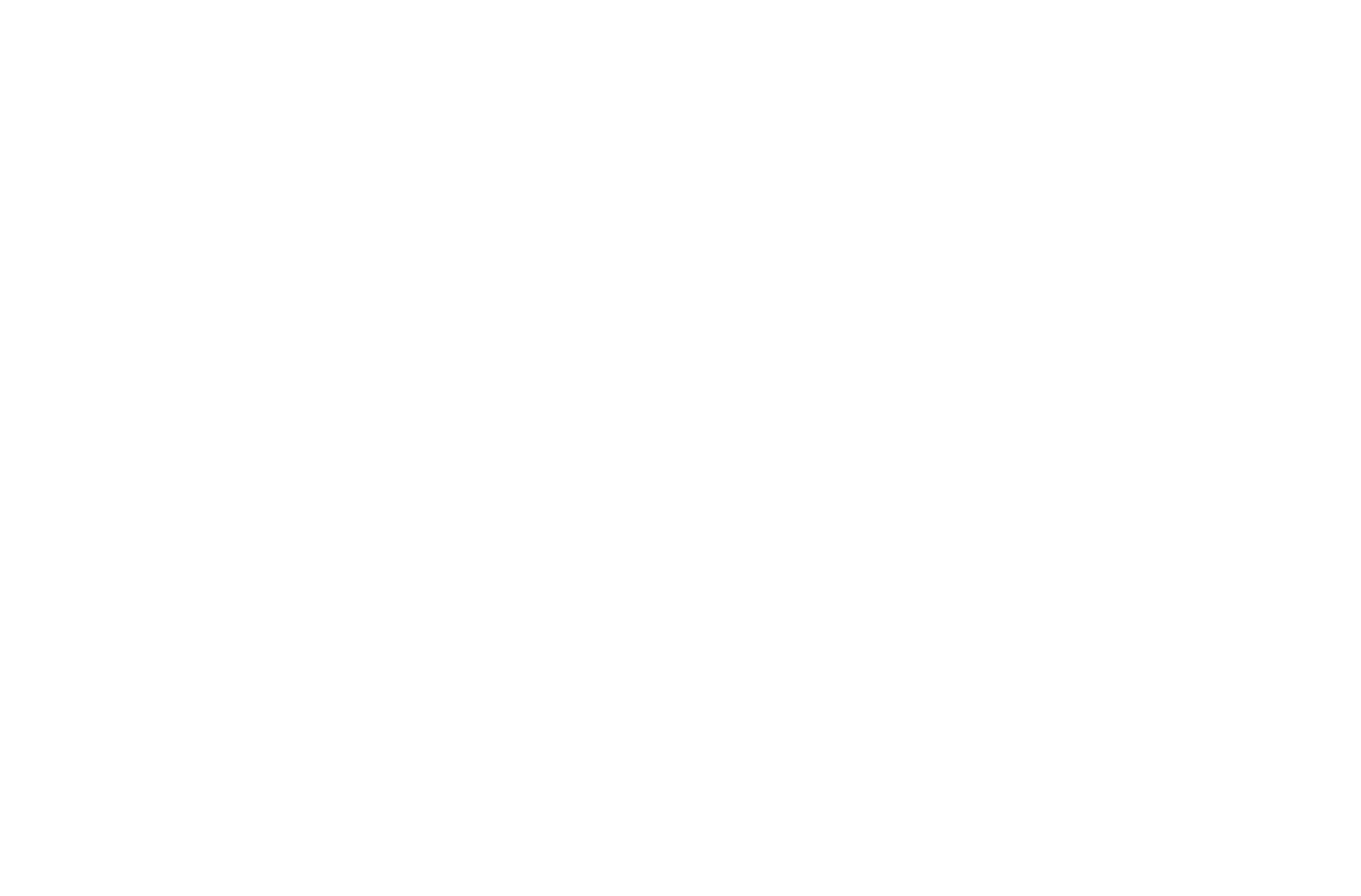 allen impact horizontal white logo